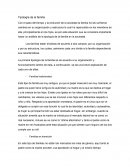 Tipologías de las familias