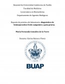 Reporte de práctica de laboratorio: diagnóstico de hemoparasitos frotis sanguíneo y gota gruesa