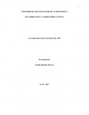 La sombra detrás de la estructura del ADN.