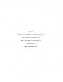 Tarea 3 Características y clasificación de sustancias peligrosas