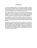 HIDROLOGIA INFORME PRACTICA