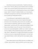 Análisis Julia de burgos