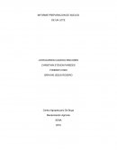 INFORME PREPARACION DE SUELOS DE UN LOTE