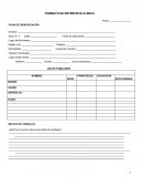 Formato de entrevista para adulto.