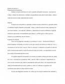 Realizar circuitos electrónicos en serie y paralelo utilizando resistencias, una fuente de voltaje y realizar las operaciones y medidas correspondientes para saber la intensidad y voltaje o caída de tención de cada componente del circuito.
