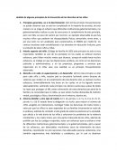 Análisis de algunos principios de la Convención de los Derechos de los niños