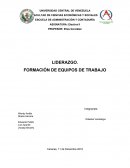 LIDERAZGO. FORMACIÓN DE EQUIPOS DE TRABAJO