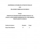 Econimias emergentes y Organismos internacionales..