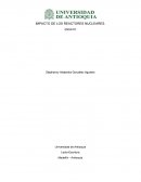 IMPACTO DE LOS REACTORES NUCLEARES. ENSAYO.