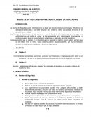 Informe de seguridad en el laboratorio