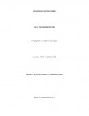 Defina los tres significados del termino RH