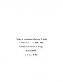 POLITICA DE SEGURIDAD Y SALUD EN EL TRABAJO. Gestión de Prevención de Riesgos