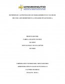 DETERMINAR LAS POSTURAS DE LOS TRABAJADORES EN EL TALLER DE MECÁNICA SINCROMOTOR EN LA CIUDAD DE PITALITO HUILA