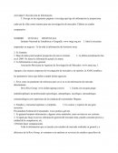 Actividad 5. Recolección de Información