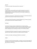 Preguntas en español.