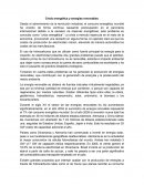 Crisis energética y energías renovables