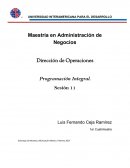 PROGRAMACION INTEGRAL.