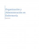 Organización y Administración en Enfermería Segundo parcial