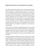 Explique hueste indiana en su funcionamiento como empresa