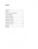 Criterios rectores de la competencia