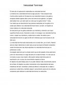 Velocidad Terminal El tema de mi exploración matemática es velocidad terminal