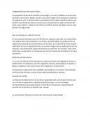 FUNDAMENTO DE REACCION TECNICA