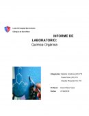 Informe de laboratorio: Química Orgánica