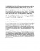 La importancia del arroz.