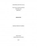 MICROBIOLOGIA SEMESTRE I MICROSCOPIA