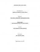 RESPONSABILIDAD SOCIAL EN EL SECTOR PÚBLICO
