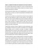 Ensayo comision de derechos humanos.