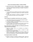 NIA 400 EVALUACIÓN DEL RIESGO Y CONTROL INTERNO