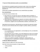 A que se le llama estructura social y sus características