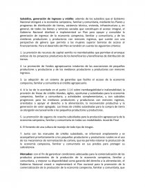 Subsidios, generación de ingresos y crédito. Página 1