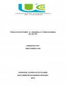 TRABAJO ESCRITO SOBRE EL “DESARROLLO Y CRISIS ECONÓMICA DEL SECTOR”