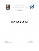 Peliula los 3 idiotas, ensayo.