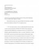Promoviendo en mi carácter de actora en el Juicio al rubro indicado ante Usted, con el debido respeto comparezco a exponer