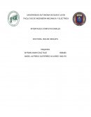 INTERFACES COMPUTACIONALES