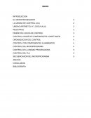 CONTROL A BASE DE COMPONENTES CONECTADOS