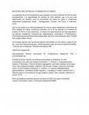 BACTERIAS ENCONTRADAS EN AMBIENTES EXTREMOS