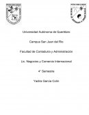 Alejandro Magno el conocido precursor de la Logística moderna