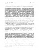 EL RAZONAMIENTO JUDICIAL DESPUES DE AUSSCHWITZ Y NUREMBERG