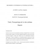 Psicopatologia de la vida cotidiana,reporte