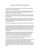 Evidencia 5: Análisis del caso de la empresa Manjali