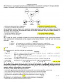 Hábitos de consumo sostenible: Reducción de residuos en entornos urbanos