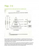 SEGMENTOS DEL MERCADO MEXICO-AMERICANO