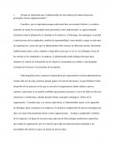 Concepto teoría de las organizaciones