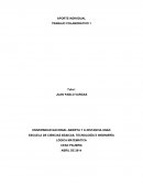 APORTE INDIVIDUAL TRABAJO COLABORATIVO 1 Lógica Matematica