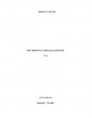 Empresa de empanadas