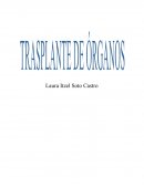 Un paciente al sufrir la necrosis o falla total de un tejido u órgano el procedimiento que se llevará a cabo es la extracción o reemplazo del tejido afectado por una unidad anatómica